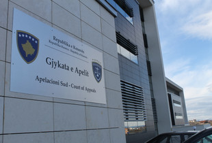 gjykata e apelit