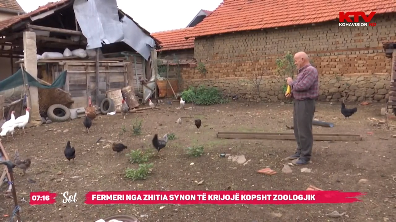 Fermeri nga Zhitia i apasionuar ndaj shpezëve