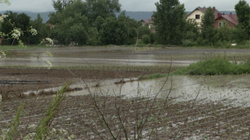 Ministria e Bujqësisë ndan 3.1 milionë euro për dëmet e shiut