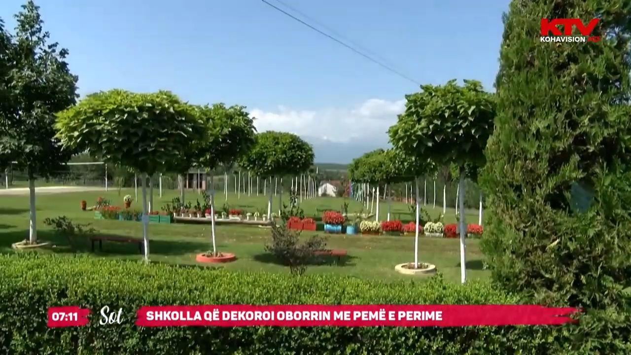 Shkolla që dekoroi oborrin me pemë e perime
