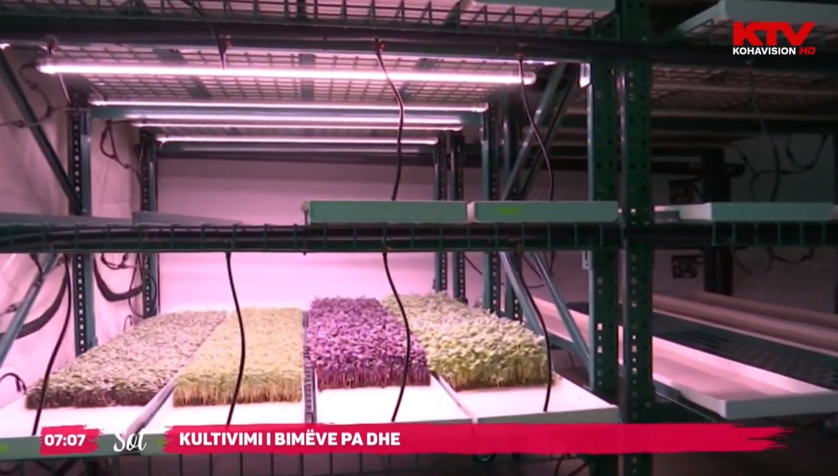 Një kahe të re po e merr bujqësia