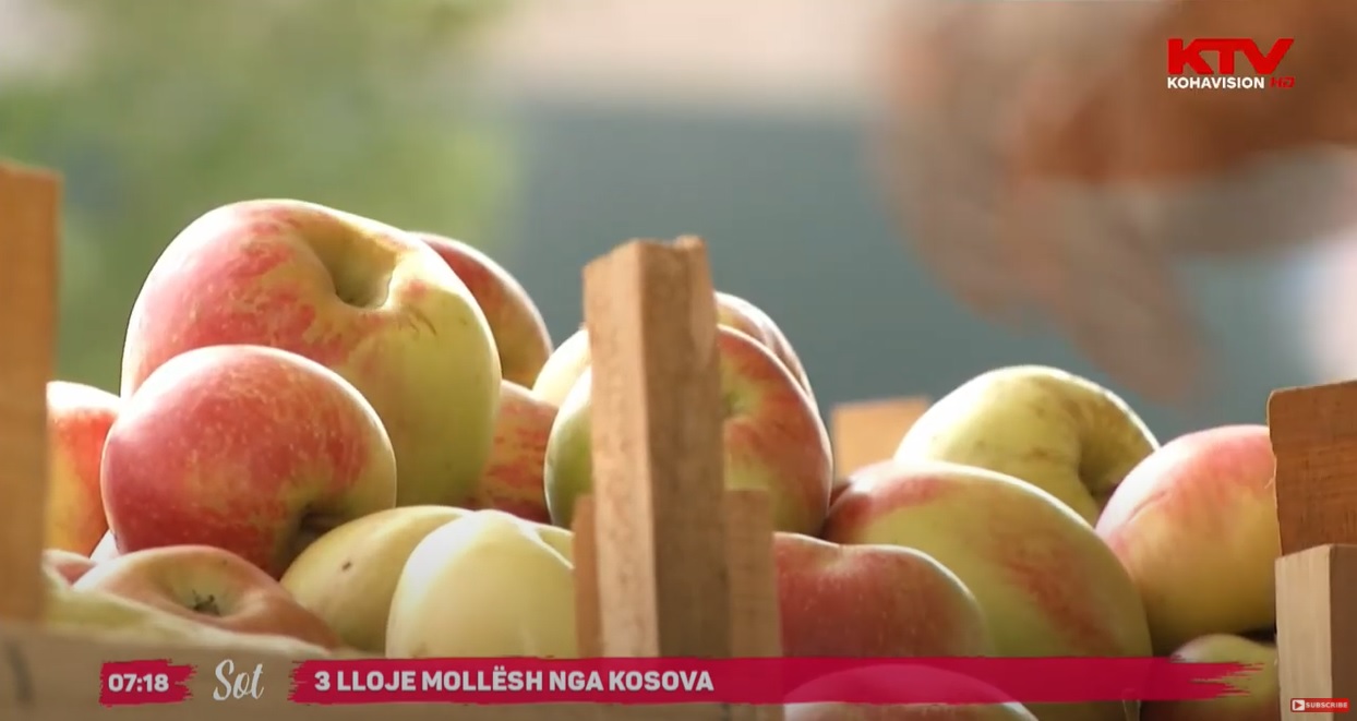 3 lloje mollësh nga Kosova