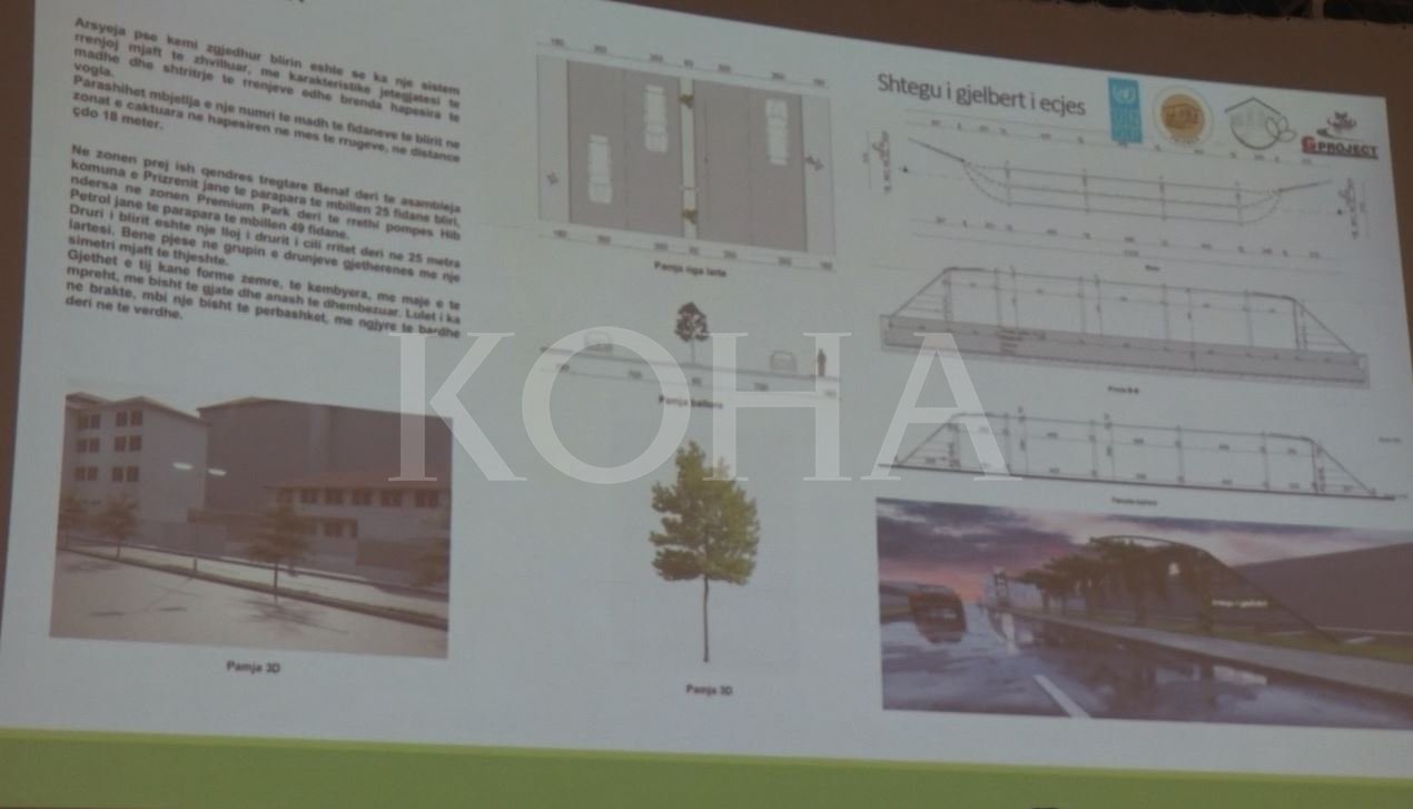 Në Prizren parashihet të zbatohen intervenime të gjelbra urbane