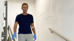 Navalny ecën vetë