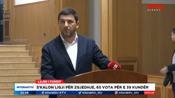 Krasniqi: Opozita sot parandaloi ngufatjen e demokracisë të cilën Kurti po e kontrabandon