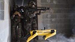 Ushtria franceze fillon testimin e qenit robot në stërvitjet për luftë