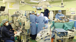 Japonia kryen transplantin e parë në botë të mushkërive nga donatorë të gjallë te pacientja me COVID-19