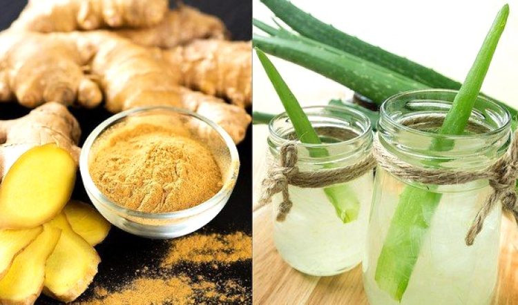 Ingwer und Aloe Vera fr einen fitten Krper - KOHA.net