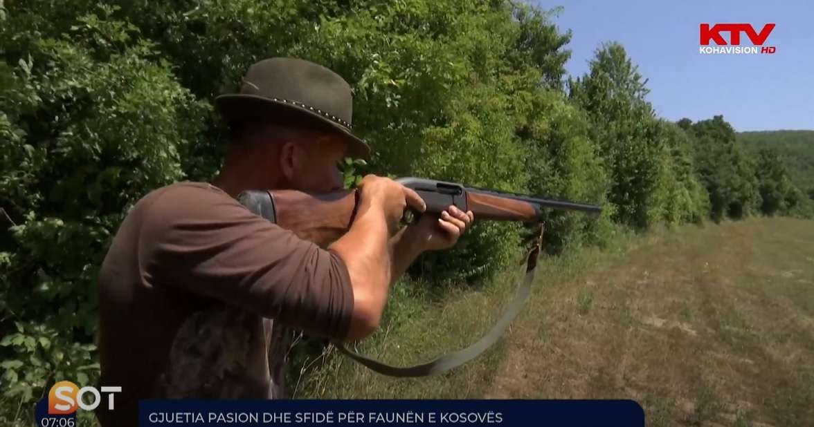 Gjuetia pasion dhe sfidë për faunën e Kosovës