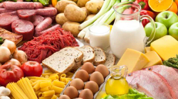 Dieta me pak karbohidrate nuk i dëmton veshkat