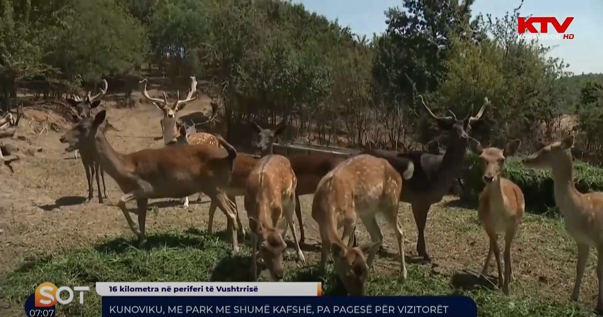 Kunoviku, me park me shumë kafshë, pa pagesë për vizitorët 