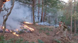 Maqedonia e Veriut shpall gjendje krize 30-ditore për shkak të zjarreve