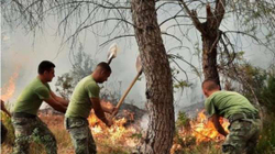 Zjarret në Vlorë, kërkohet evakuimi i njerëzve