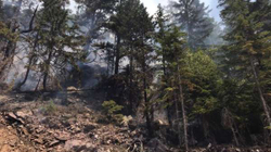 Erërat rendojnë situatën me zjarret në Bjeshkët e Nemuna, evakuohen tri familje në Shtupeq