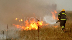 Qindra hektarë pyje e fusha të djegura në Kosovë