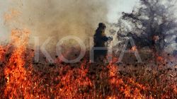 Rreth 10 hektarë përfshihen nga zjarri në Kamenicë