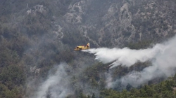 Rrëzohet aeroplani rus derisa po shuante zjarret në Turqi