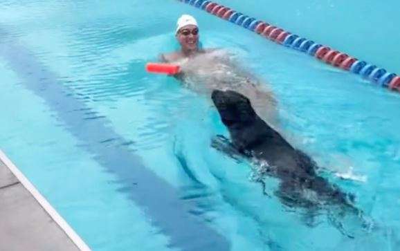 Caeleb Dressel ndan një video mbresëlënëse të qenit të tij duke garuar së bashku me të në pishinë