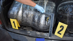 Kapen 31 kilogramë marihuanë në Komoran