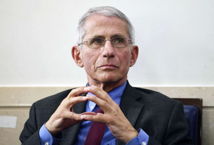 fauci