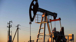 Rritet çmimi i naftës para Samitit të OPEC-ut