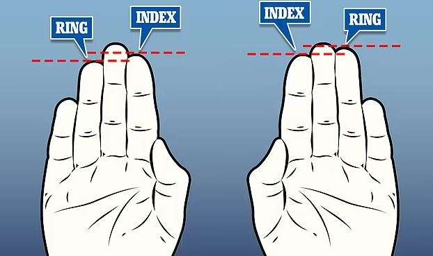 Index Finger VS Ring Finger Length