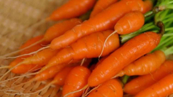 Vitamina që ju duhet për të humbur peshë gjatë dimrit