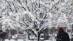 Parashikohet borë e ngricë në fundjavë
