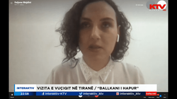 Mejdini: Protesta në Tiranë nuk kishte të bënte me Vuçiqin, por me PD-në