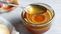 Receta e kurës me mjaltë dhe qepë si antibiotik natyral