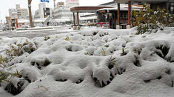 Bora e madhe anulon mbi 100 fluturime në Japoni