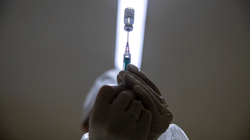 Çereku i francezëve, gjermanëve dhe amerikanëve refuzojnë vaksinimin anti-COVID