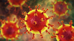 Numri i të prekurve me variantin e ri të koronavirusit po dyfishohet çdo 10 ditë në SHBA