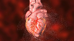 COVID-19 shkakton telashe edhe në zemër, mjekët i përmendin simptomat