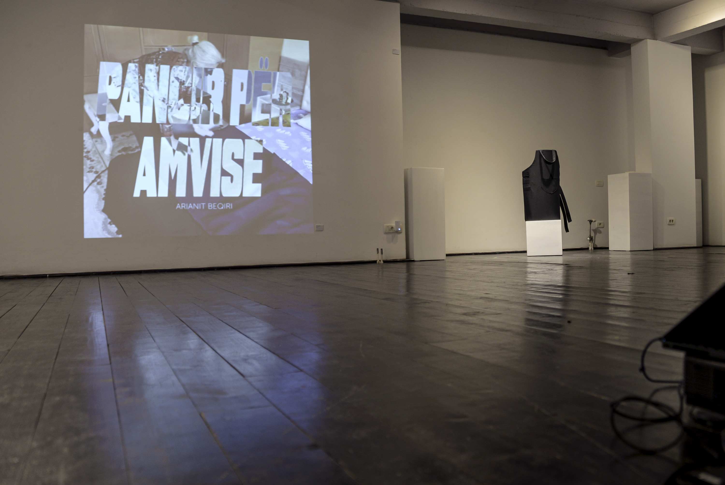 Dy janë elementet e shoqërisë disiplinore të cilat mund t’i vërejmë në artin e Arianitit: panciri dhe grilat. Panciri si objekt mbrojtës na përkujton shoqërinë disiplinore. Gruaja në shoqërinë e tillë ka nevojë për mbrojtje fizike