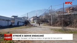 Ish-hoteli “Karagaq” në Pejë, strehë e qenve endacakë