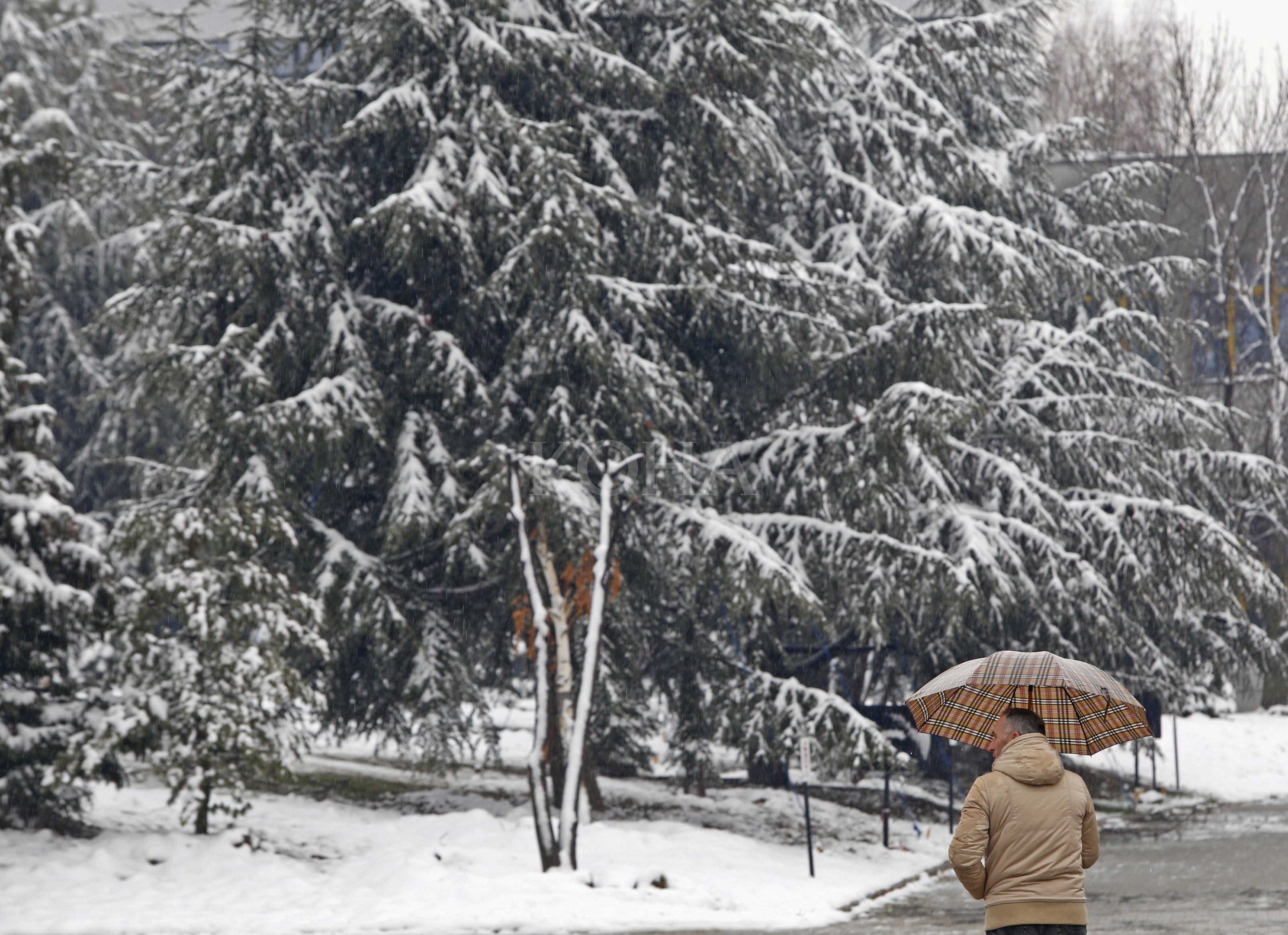 Foto: Driton Paçarada / KOHA