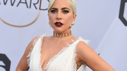 Lady Gagas i kthehen në gjendje të mirë dy qentë e vjedhur