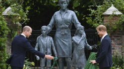 Princin Harry dhe Princin William i bën bashkë statuja e Lady Dianas