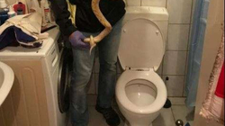 Një austriak kafshohet nga pitoni në tualet