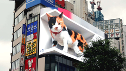 Macja gjigante 3D shfaqet në një nga tabelat më të mëdha në Tokio