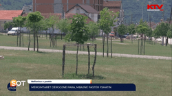 Mërgimtarët dërgojnë para, mbajnë pastër fshatin