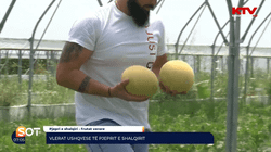 Vlerat ushqyese të pjeprit e shalqirit