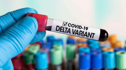 IKSHPK-ja vlerëson se 80 deri 90 për qind të mostrave janë me variantin Delta