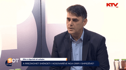 Kadriu: Nuk ka vend për panik nga gripi i shpezëve, por duhet pasur kujdes
