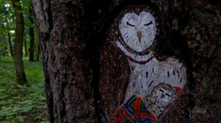 Maler schmücken beschädigte Bäume in russischen Parks