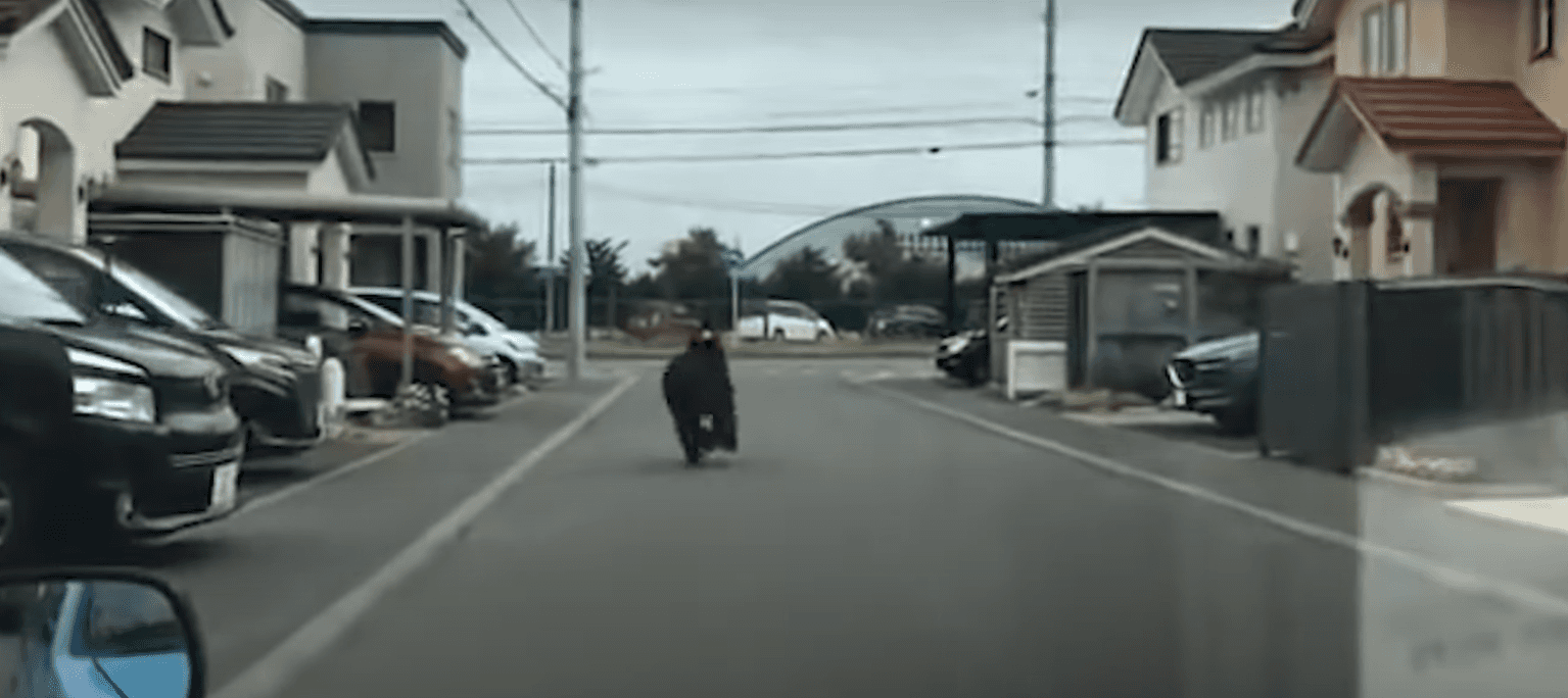 Ariu sulmon ushtarët