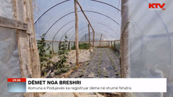 Breshri shkakton dëme në shumë fshatra të Podujevës