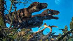 Dinozaurët jetonin në Arktik, sipas një studimi