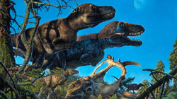 Dinozaurët jetonin në Arktik, sipas një studimi